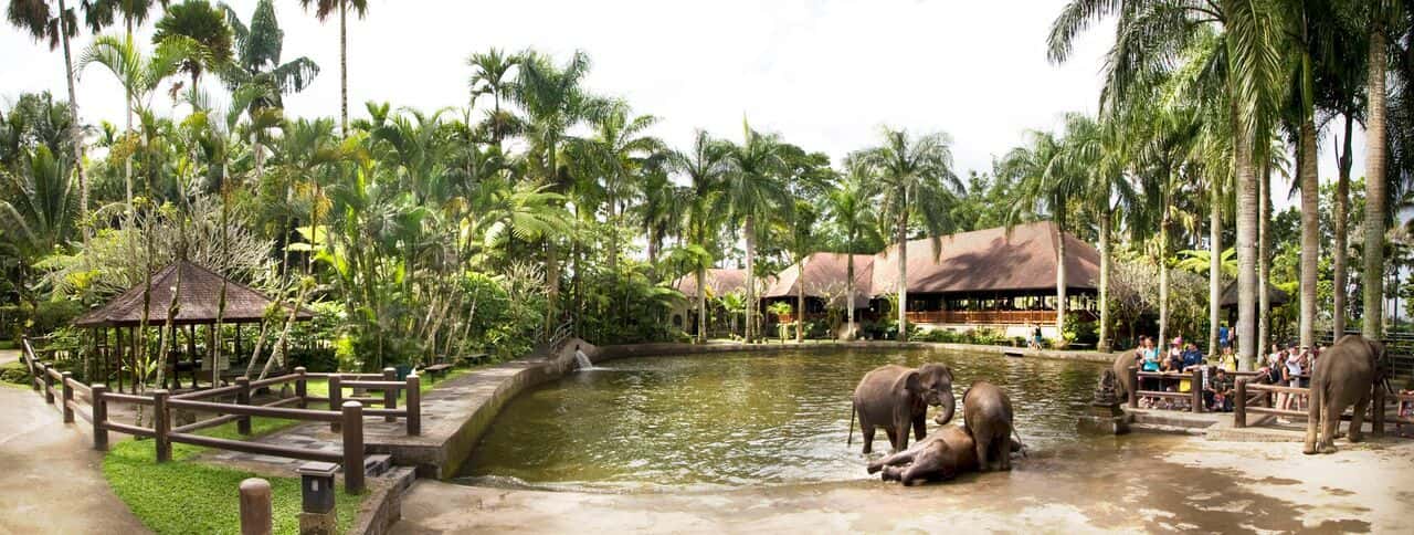 Elephant Safari Ride3