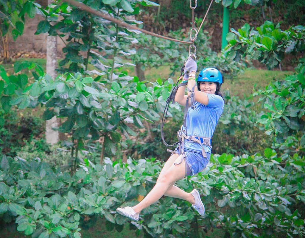 Flying Fox เท่านั้น (ไม่รวมค่าบัตรเข้าชม)4