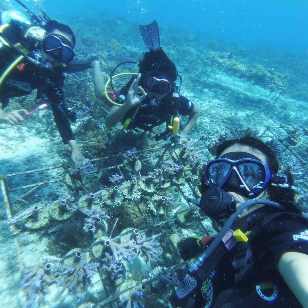 ดำน้ำสนุก / ทดลองดำน้ำ (Discover Scuba Diving - DSD)2