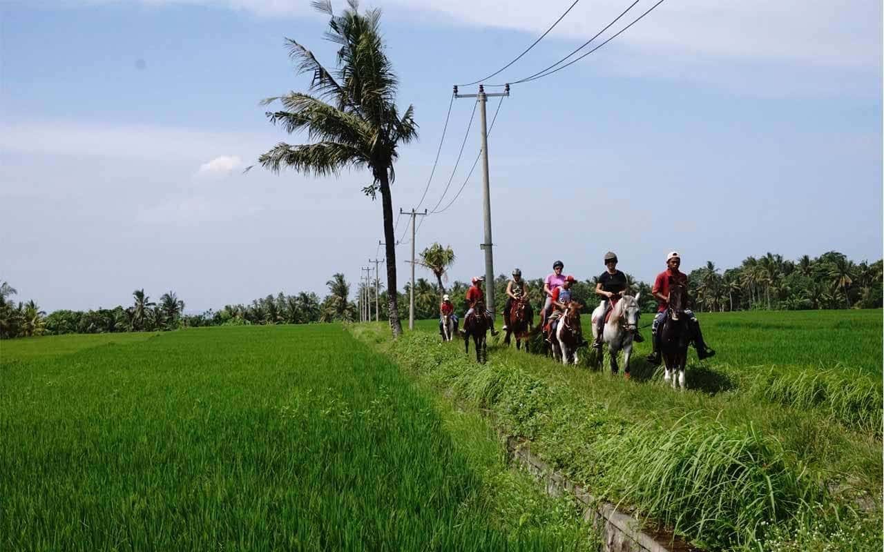 Horse Riding Experience in Bali1