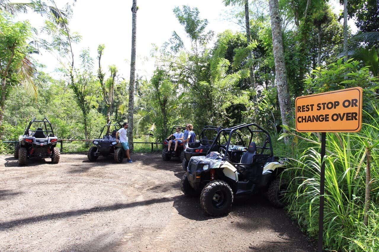 Jungle Buggies2