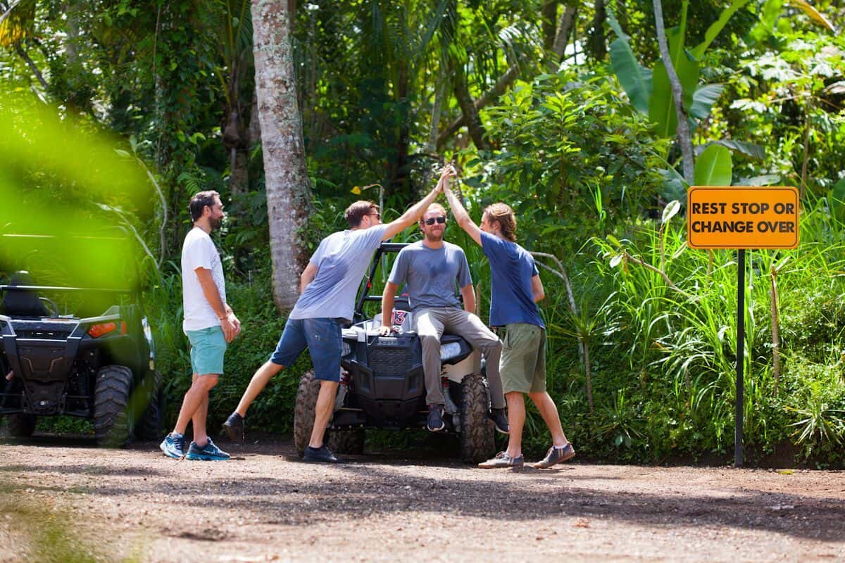Jungle Buggies1