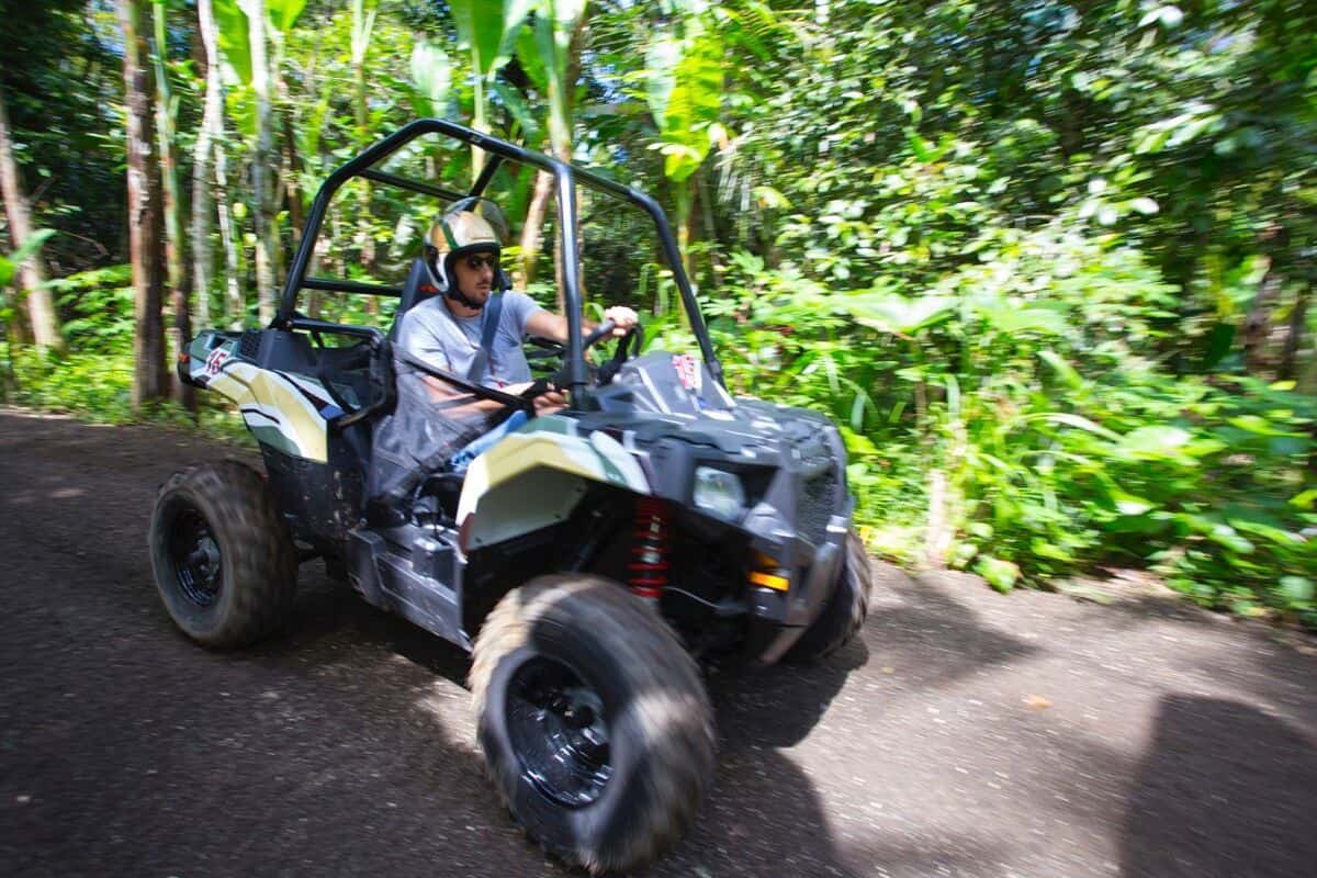 Jungle Buggies3