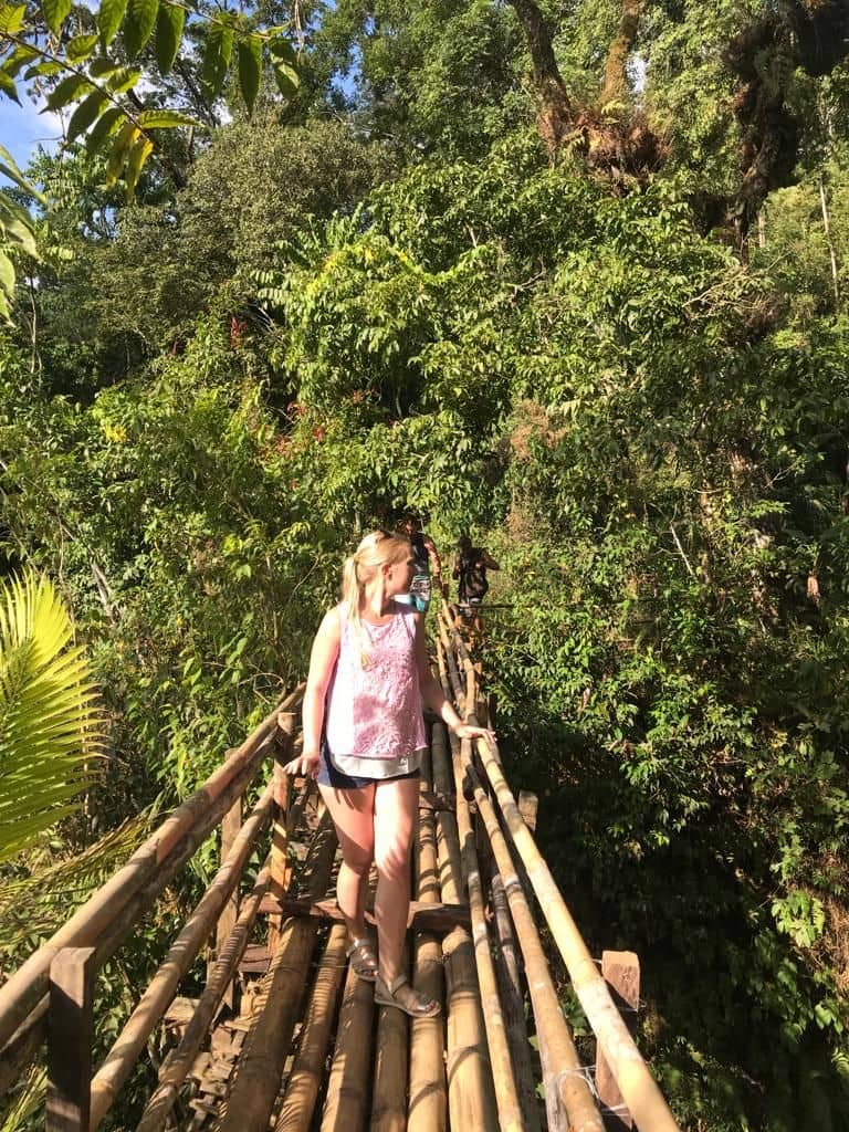 Jungle Trekking Sambangan
