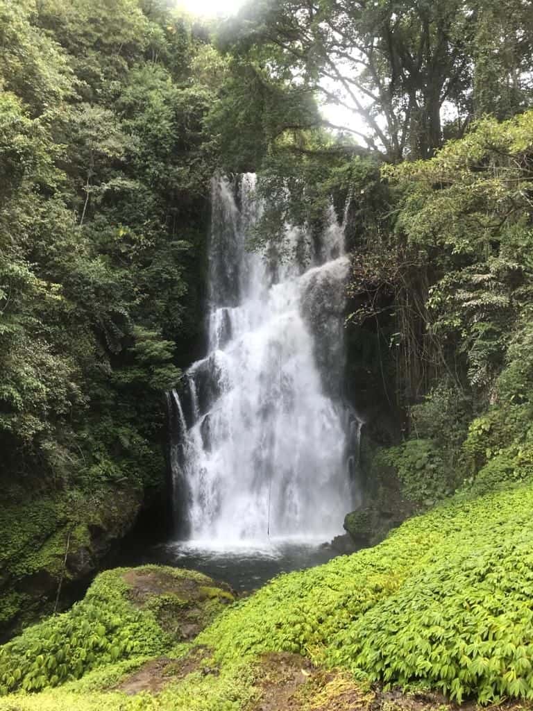 Jungle Trekking Sambangan2