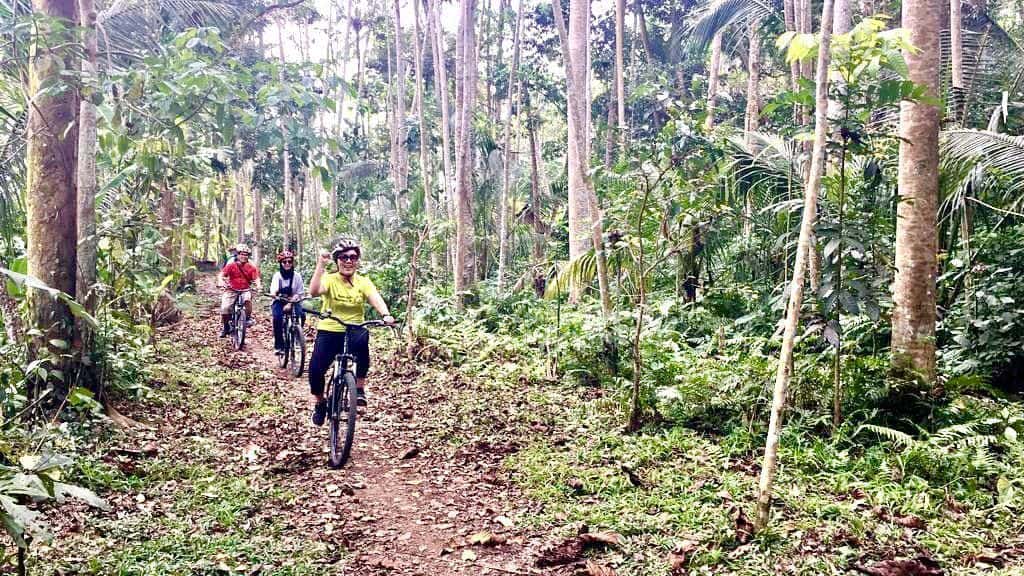 Kintamani or Ubud Cycling2