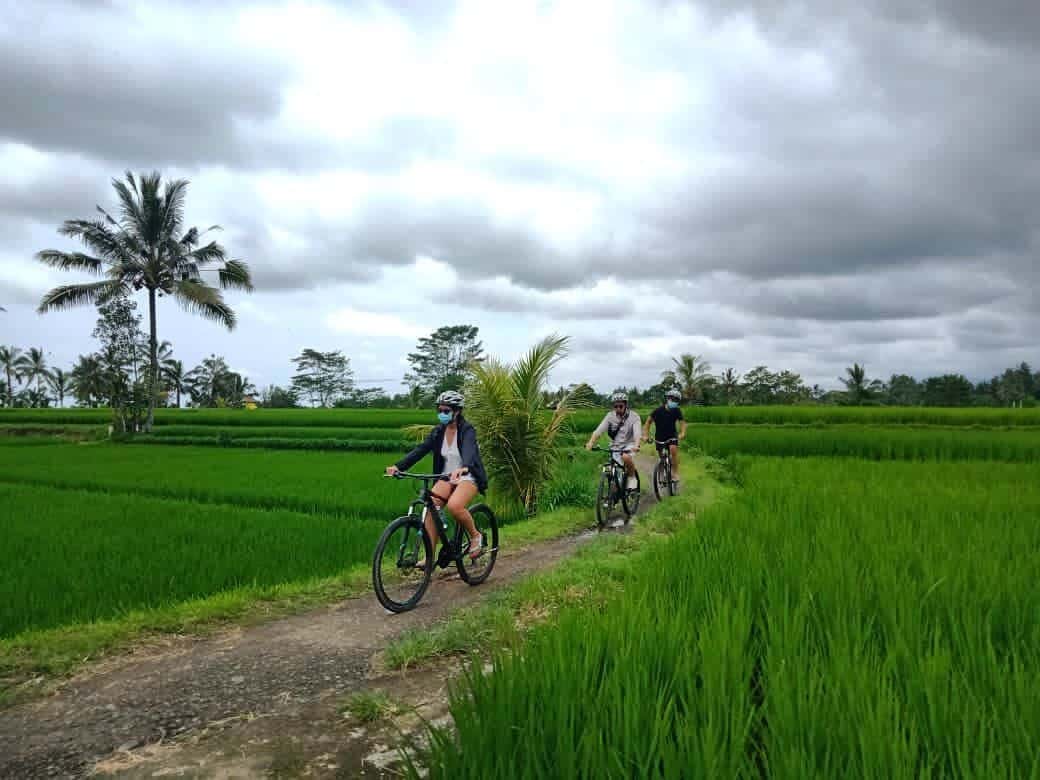Kintamani or Ubud Cycling1