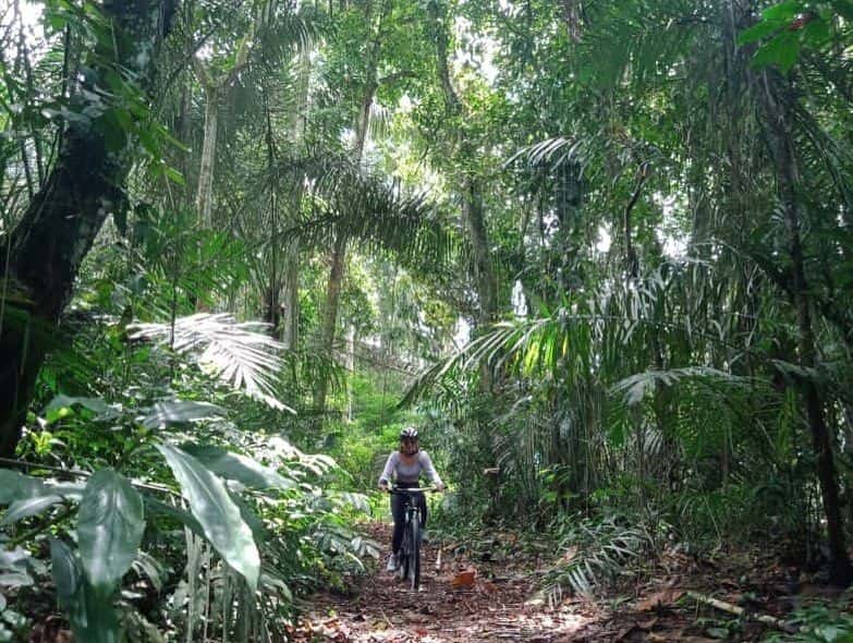 Kintamani or Ubud Cycling3