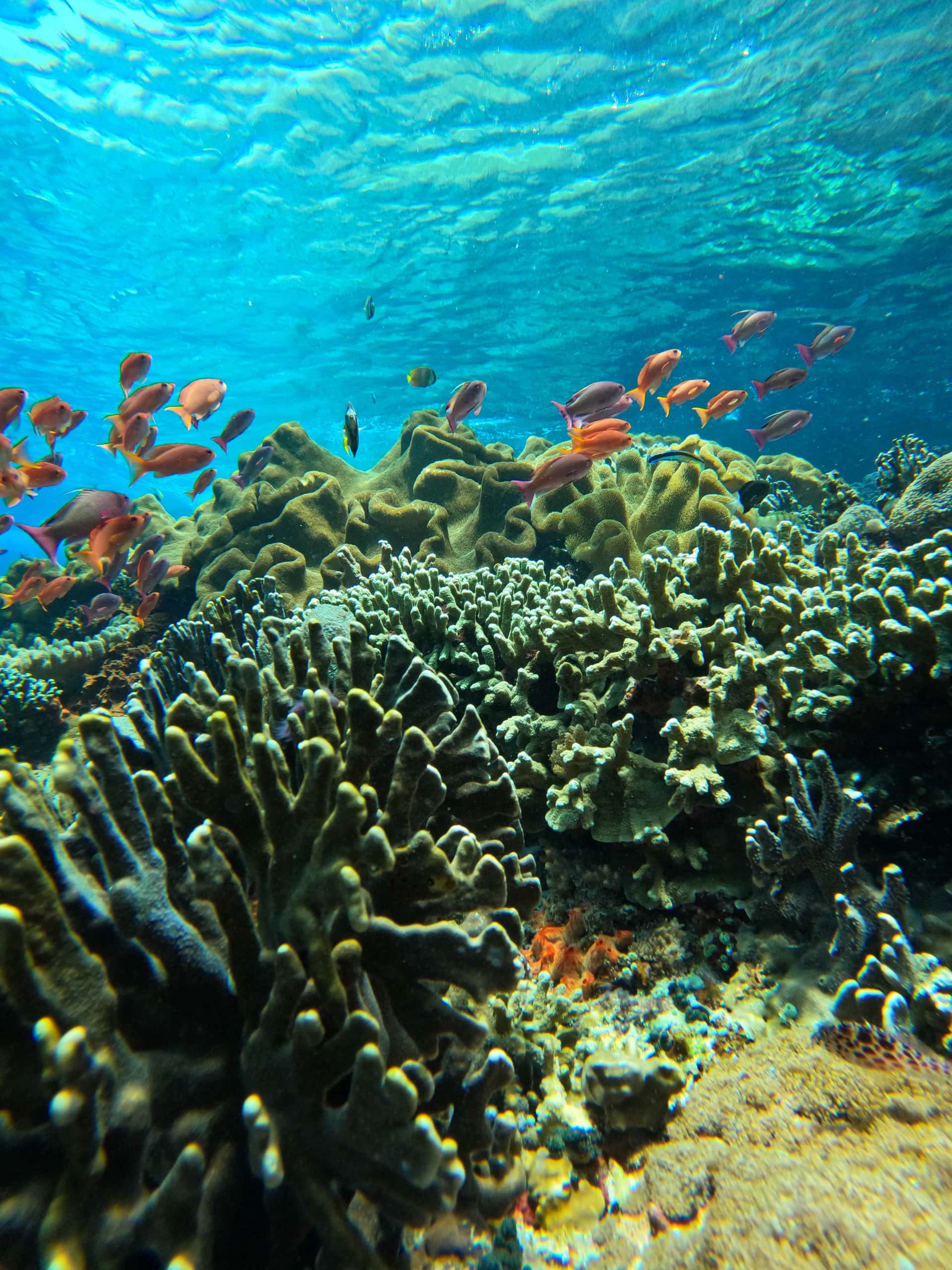 Lembongan Island Explore1