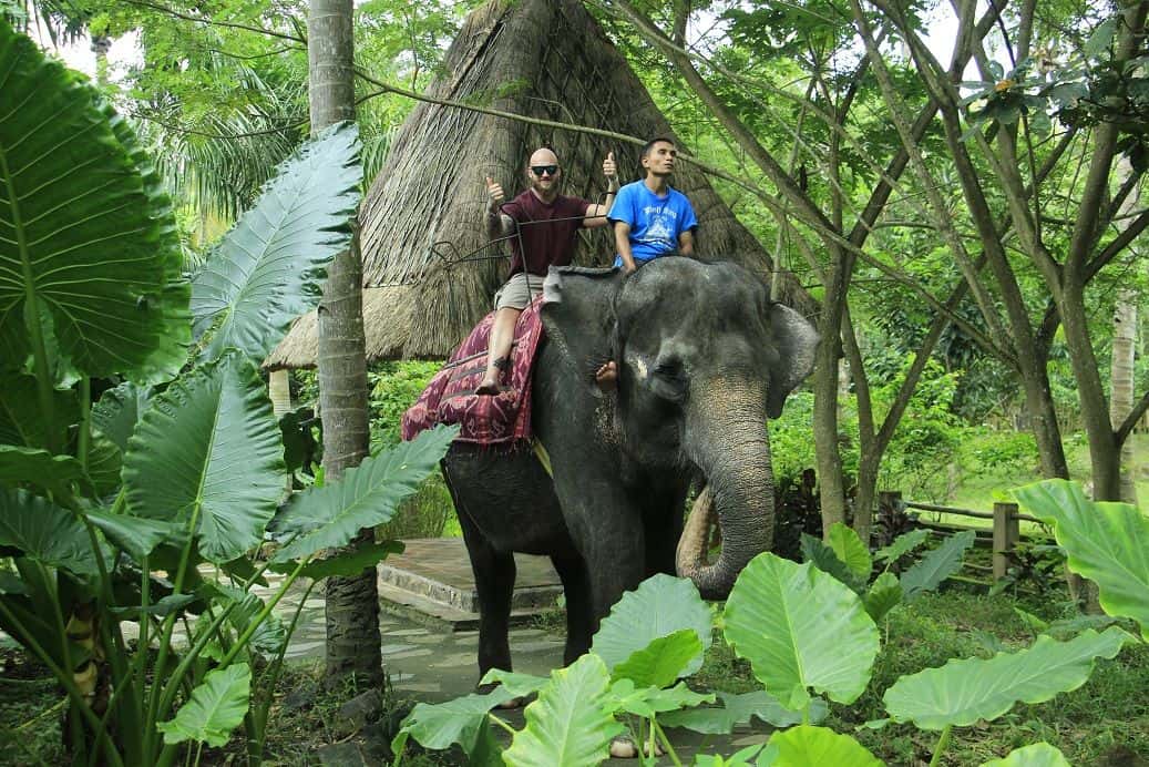 อุทยานสัตว์ป่าลอมบอคสำหรับนักท่องเที่ยวต่างชาติ4