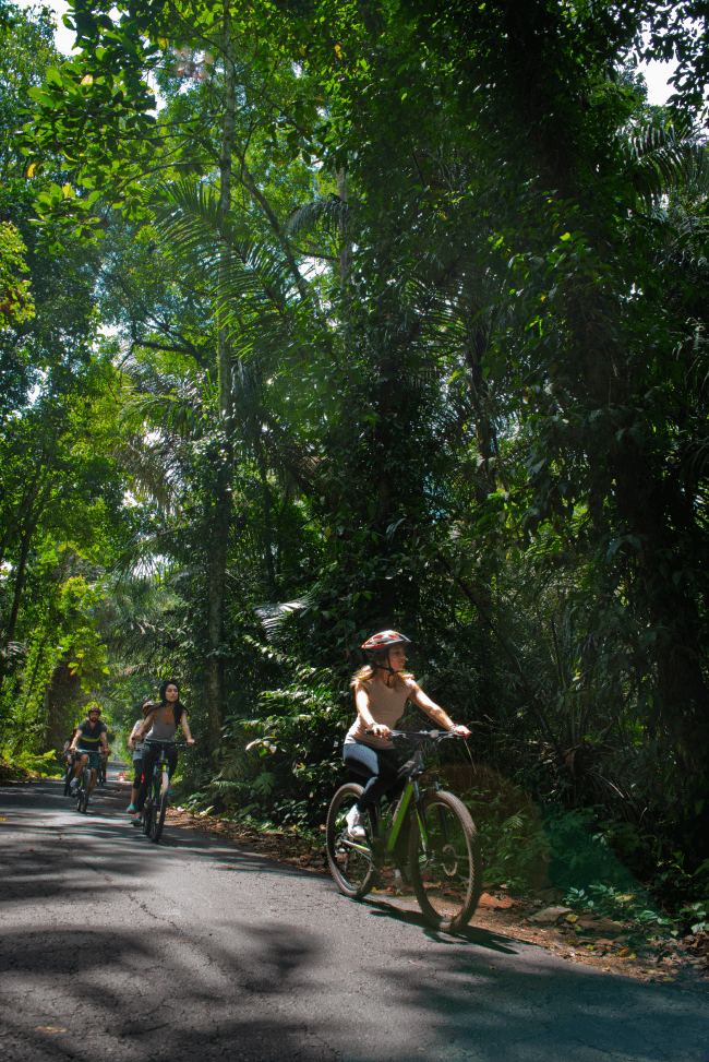 Mountain Cycling4
