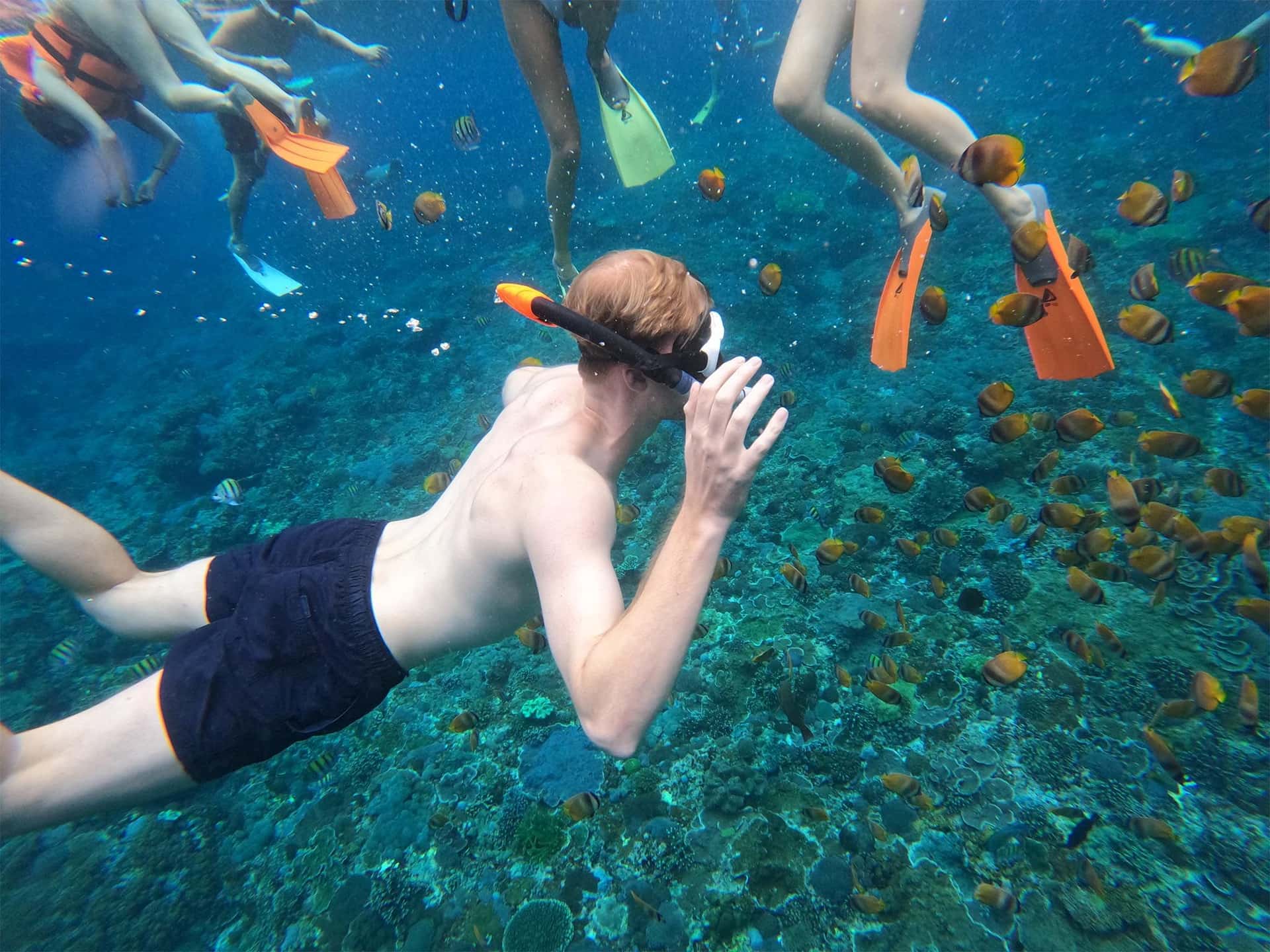 Nusa Penida: Snorkeling at 4 Spots with Guide2