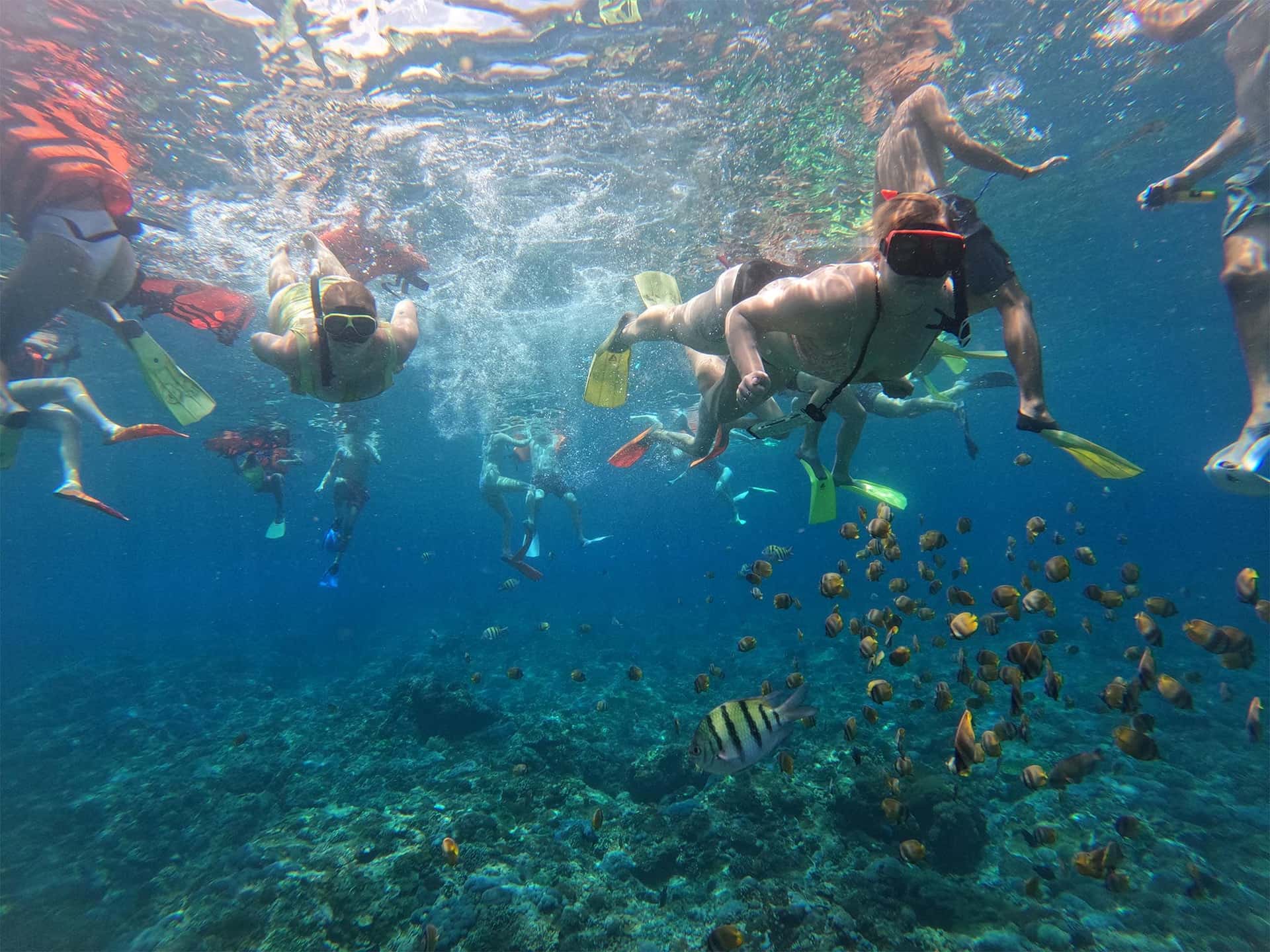 Nusa Penida: Snorkeling at 4 Spots with Guide3