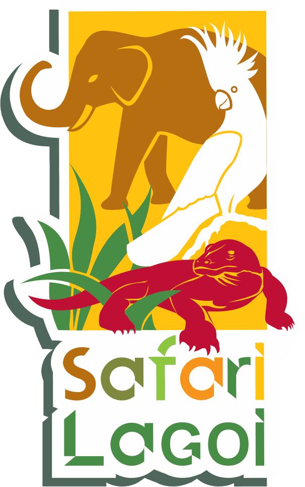 Safari Lagoi
