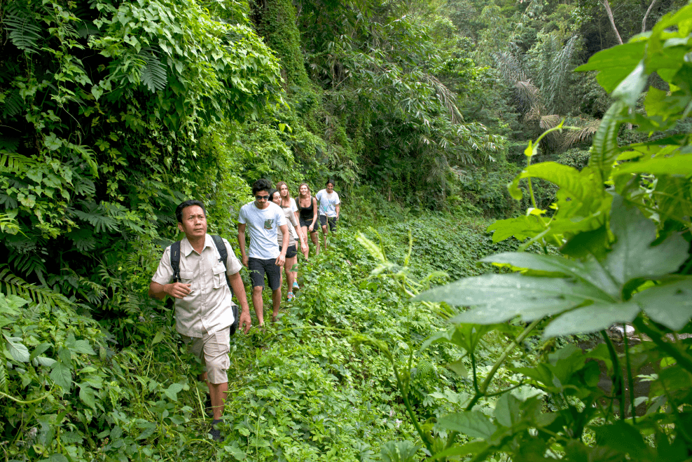 Tropical Trekking3