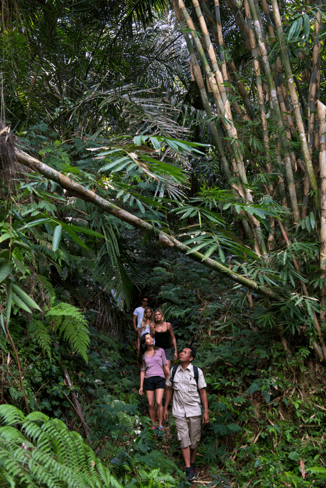 Tropical Trekking4