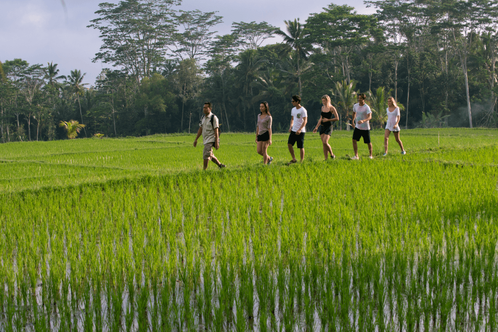 Tropical Trekking