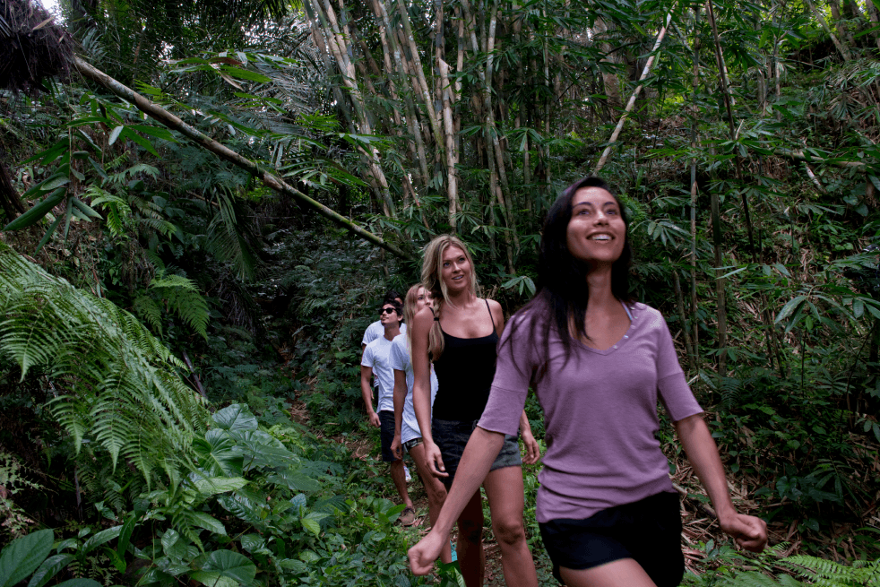 Tropical Trekking2
