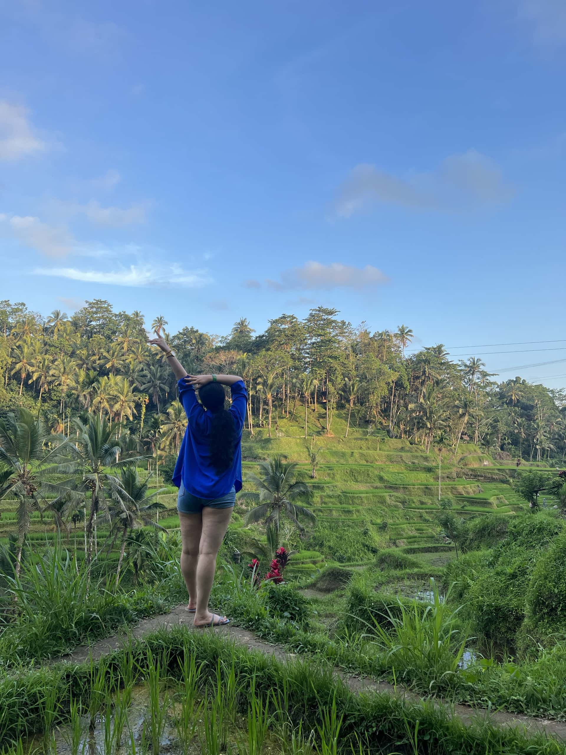 Ubud Sightseeing, Holy Water Temple & Waterfall1