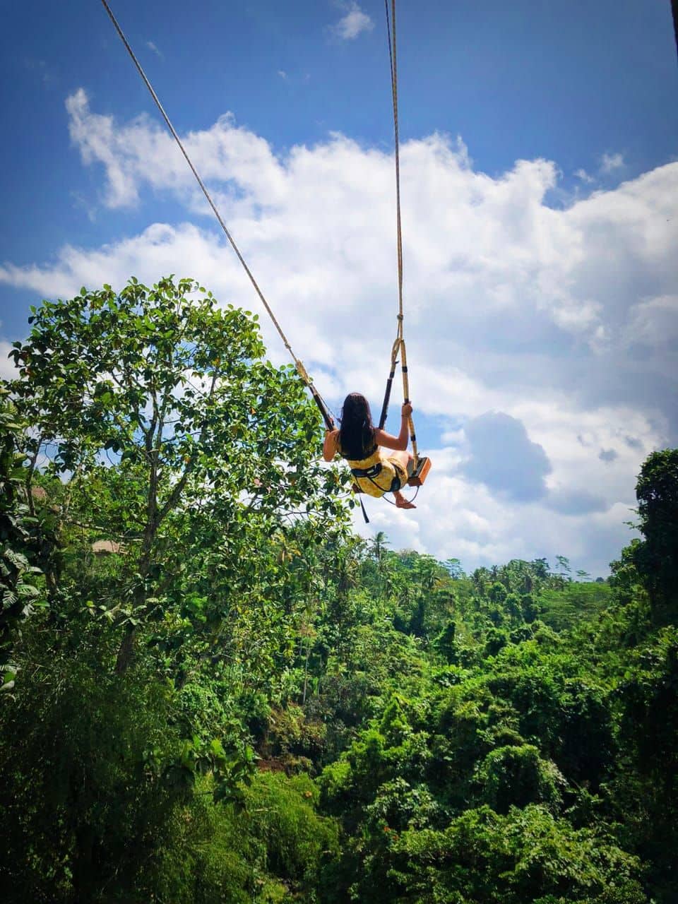 Ubud Swing