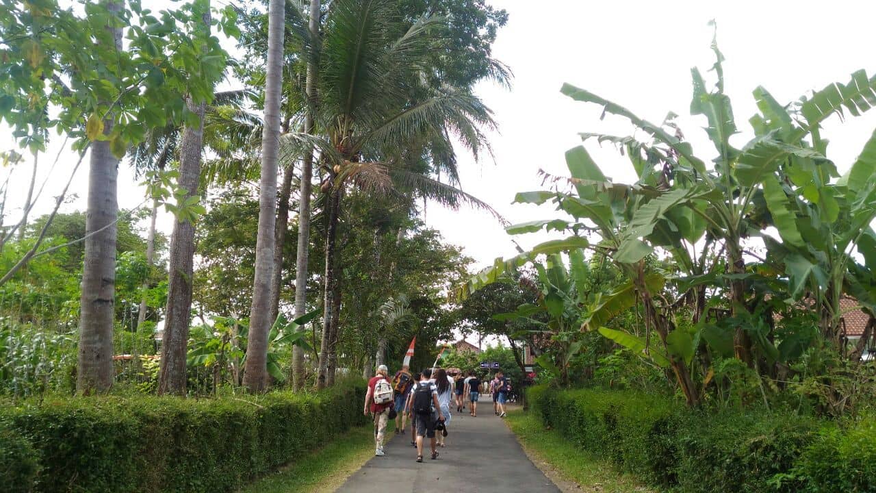 Walking Around Village
