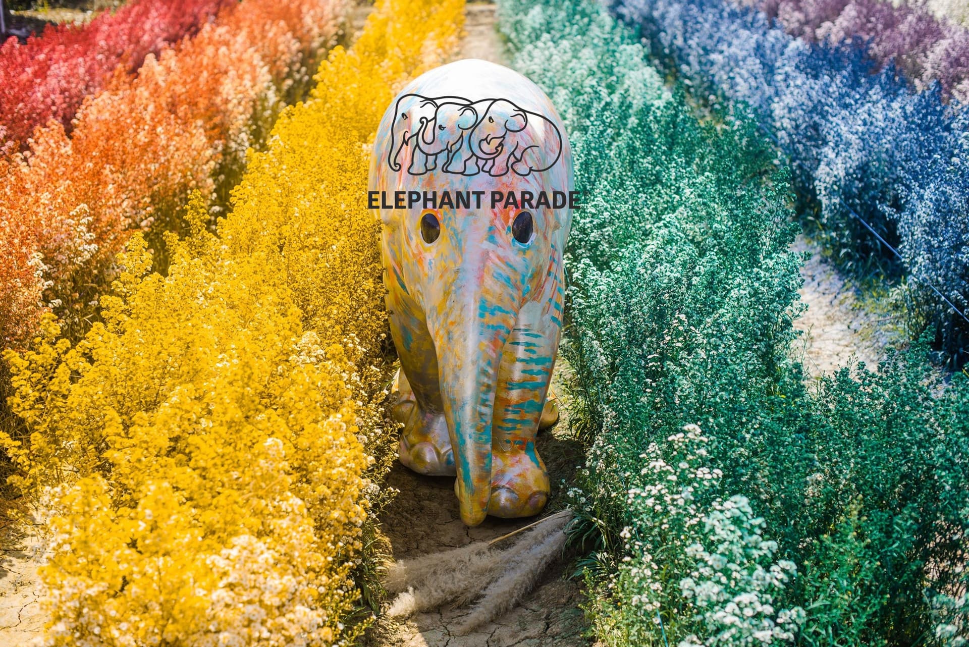 Elephant Parade Land Chiang Mai