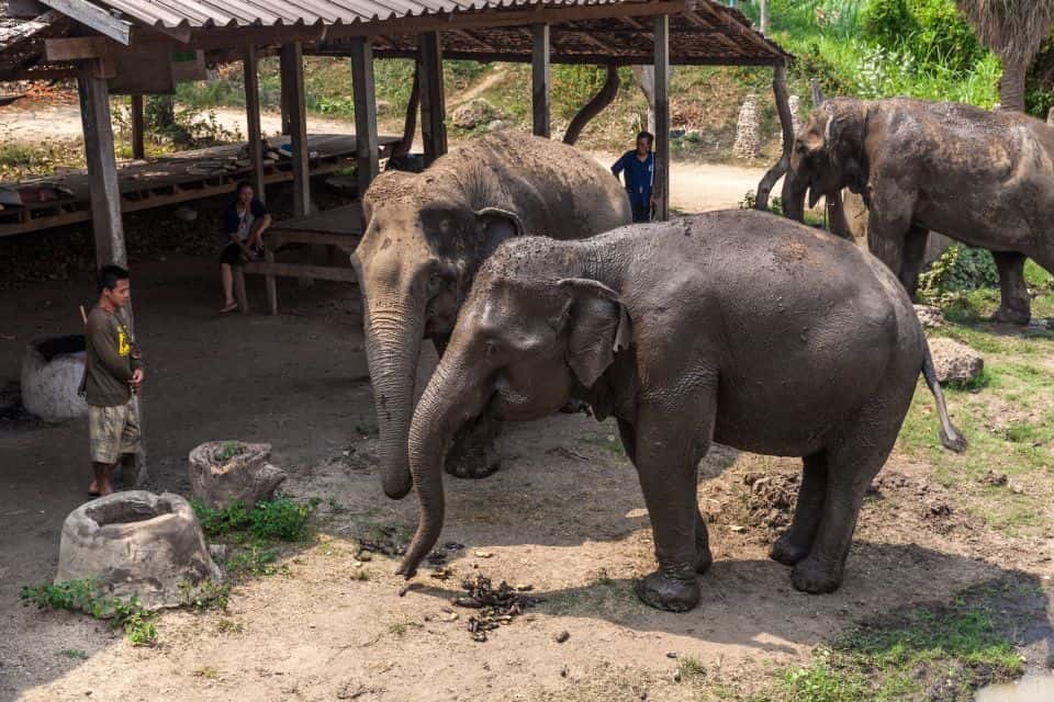 From Bangkok : Elephant Sanctuary & Kanchanaburi Highlights Tour1