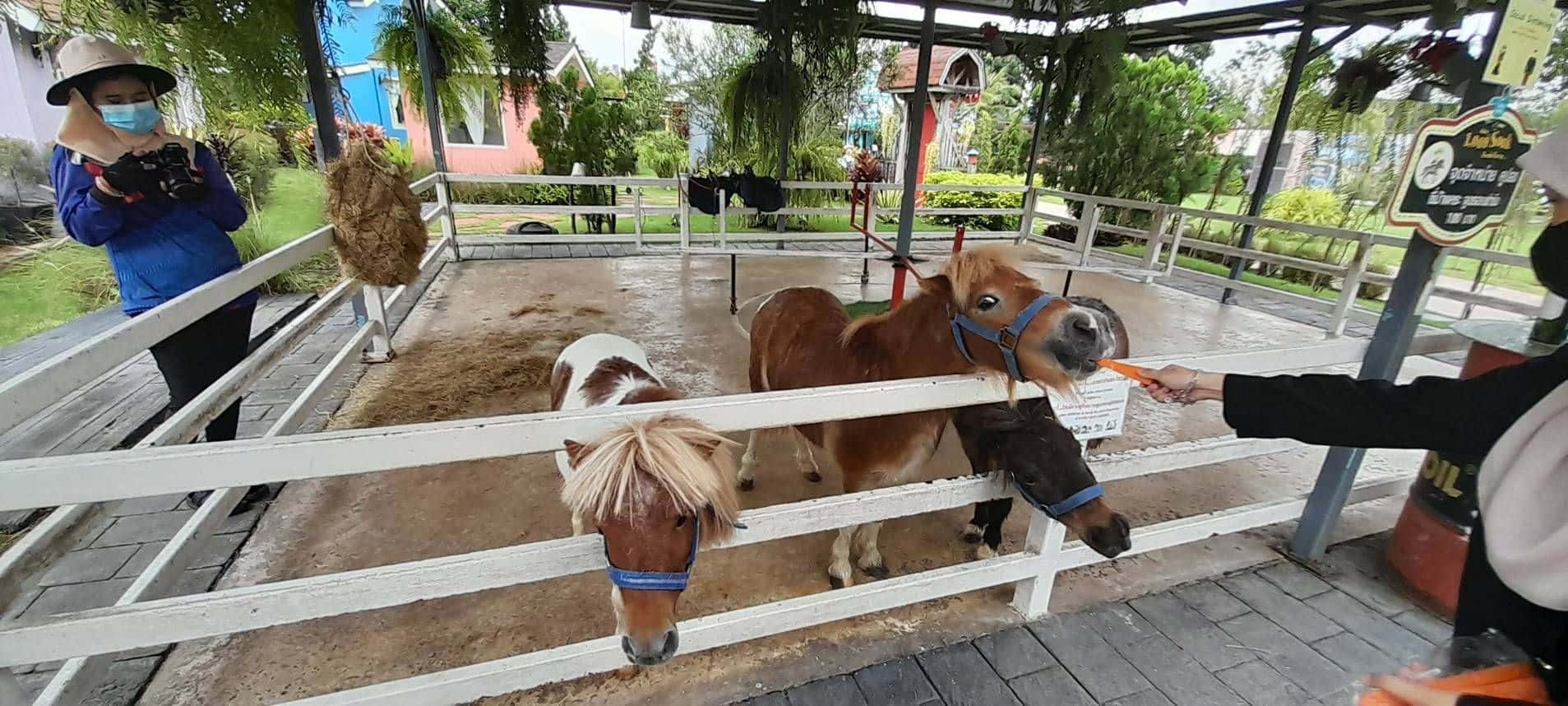 ทัวร์หัวหิน 1 วันจากกรุงเทพฯ2