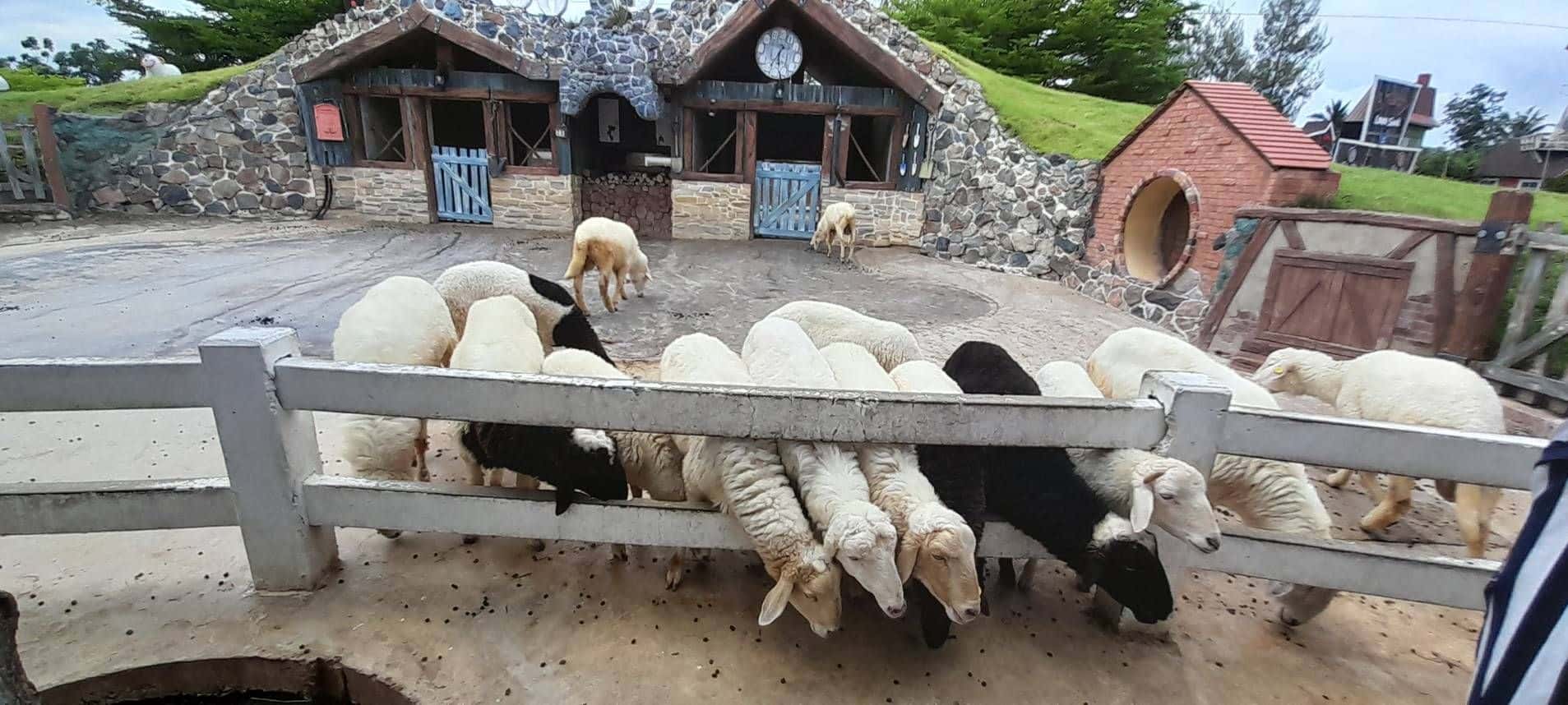 ทัวร์หัวหิน 1 วันจากกรุงเทพฯ1