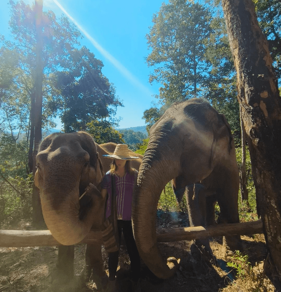 Hug Elephant Sanctuary Chiangmai3