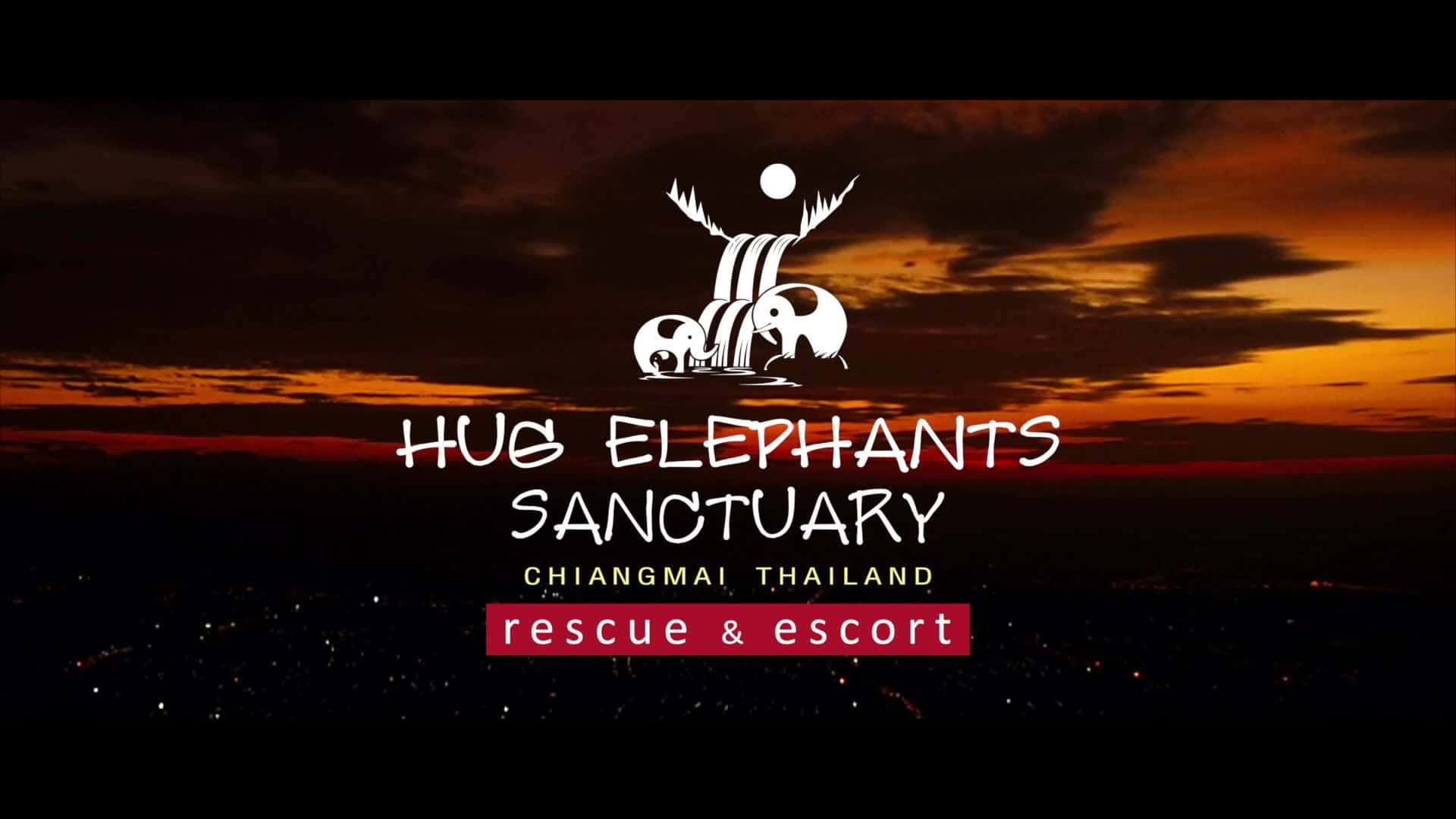 Hug Elephant Sanctuary Chiangmai1