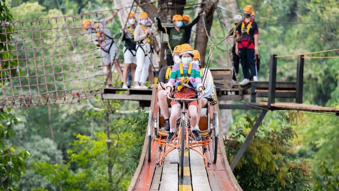 กิจกรรมซิปไลน์และจังเกิ้ลโคสเตอร์ ที่ โป่งแยง ซิปไลน์ แอนด์ จังเกิ้ลโคสเตอร์ ที่เชียงใหม่3