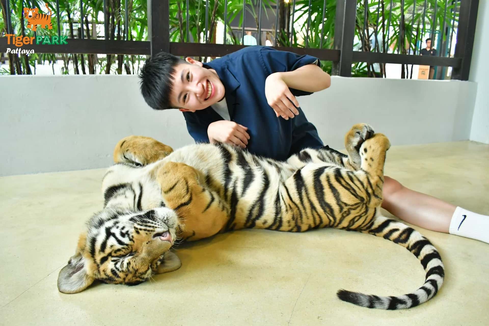 Tiger Park I Pattaya3
