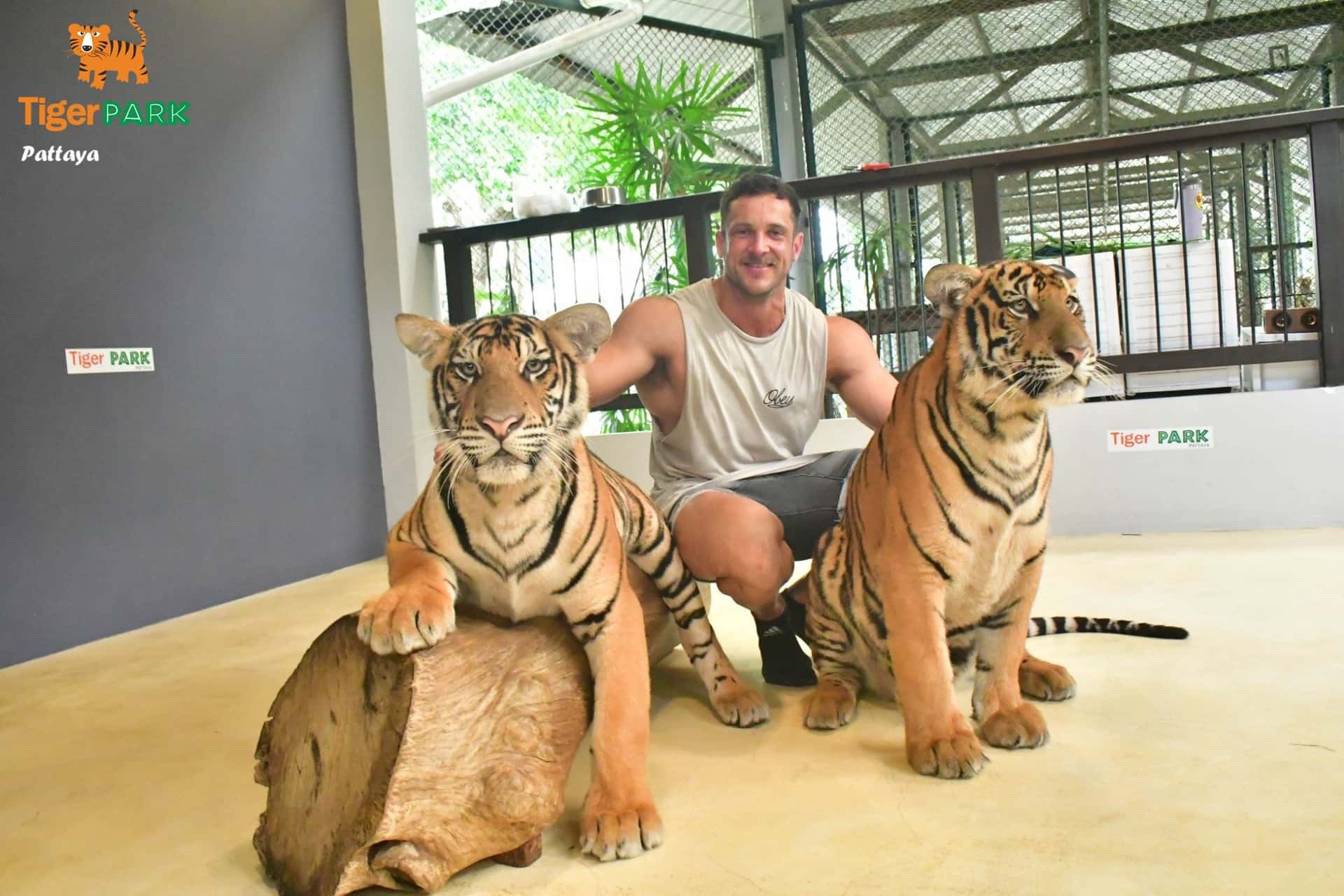 Tiger Park I Pattaya2