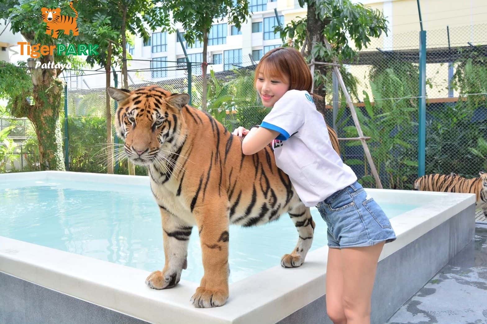 Tiger Park I Pattaya1