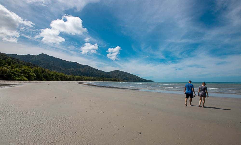 1 Day Daintree Rainforest, Cape Tribulation and Bloomfield Track Tour1