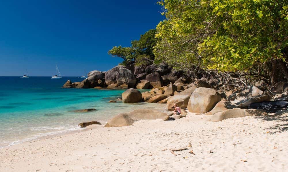 1 Day Transfer to Fitzroy Island - Full Day1