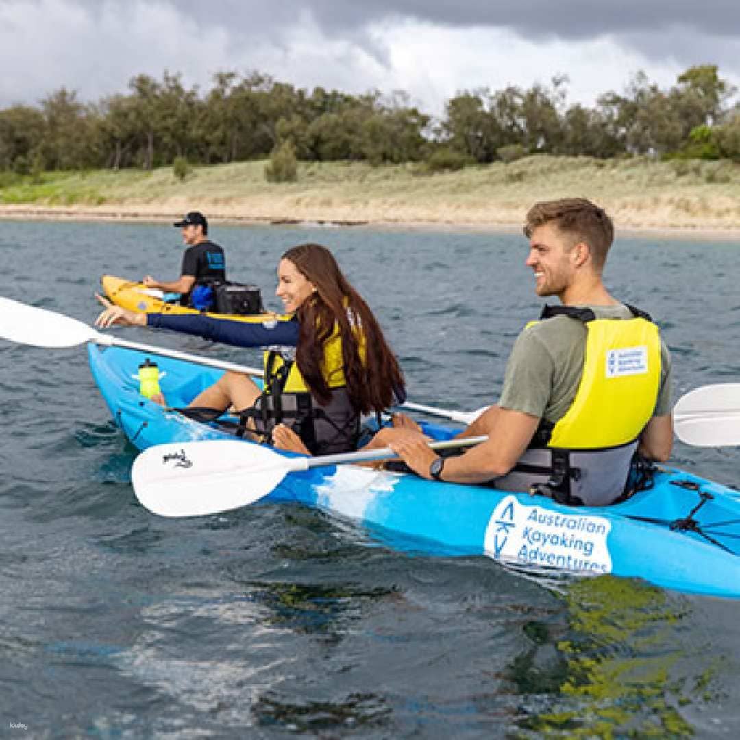 2 Hours Broadwater Dolphin Kayaking & Snorkeling Tour | Queensland