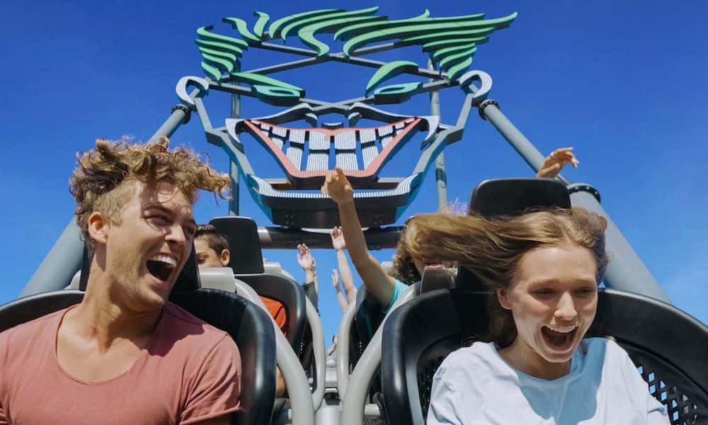 3 Day Theme Park Pass + Hopo All Day Ferry Pass4