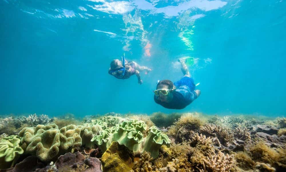 60 Minute Whitsunday Flight and Northern Exposure Rafting Package2