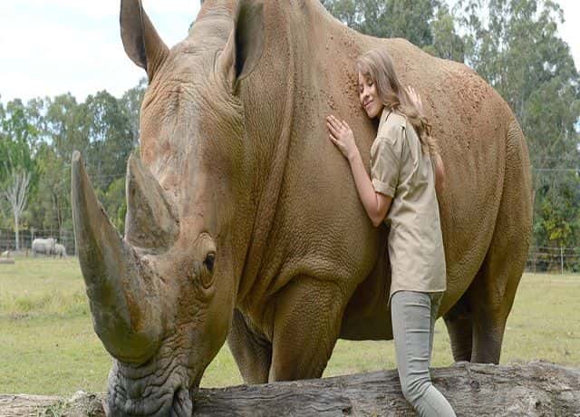 Australia Zoo Entry with Sunshine Coast Hotel Transfers1