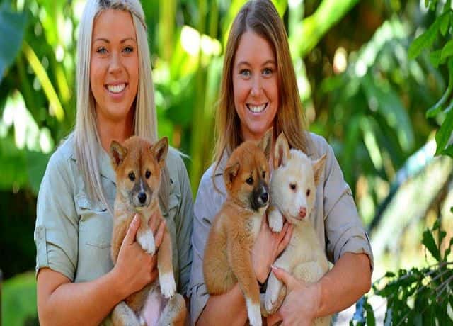 Australia Zoo Entry with Sunshine Coast Hotel Transfers2