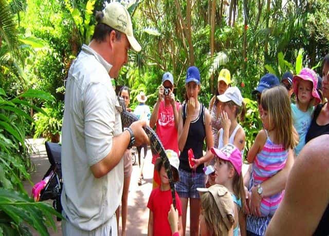 Australia Zoo Entry with Sunshine Coast Hotel Transfers4