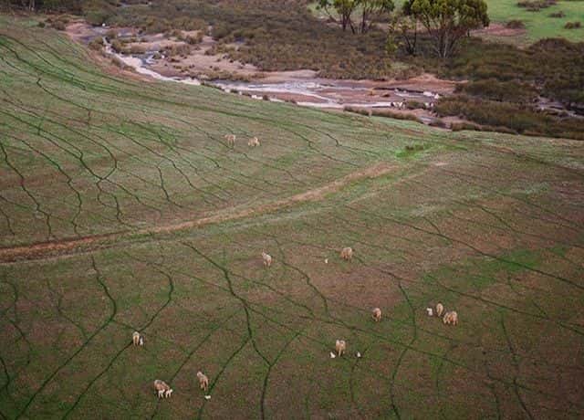 Avon Valley Hot Air Balloon Flight with Transfer - Weekend3
