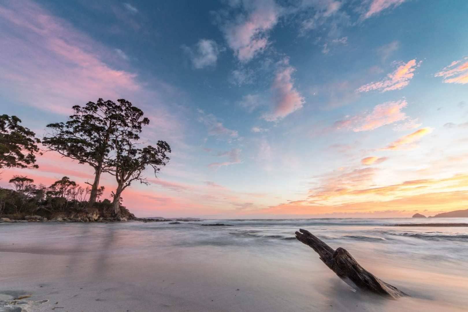 Bruny Island Food, Sightseeing & Lighthouse Tour | Tasmania