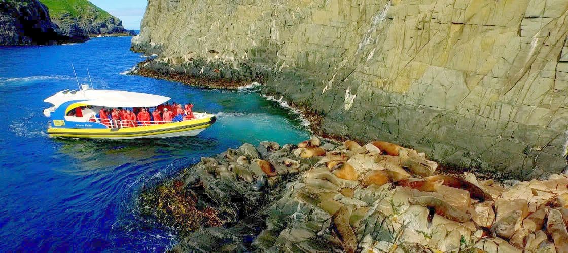 ล่องเรือผจญภัยธรรมชาติที่เกาะบรูนี พร้อมบริการรถรับ-ส่งจากเคทเทอริง