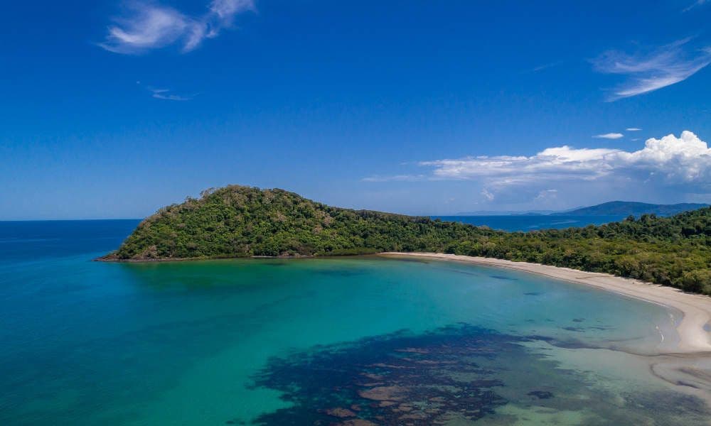 ทัวร์รถ 4WD ในป่าฝนเดนทรีและแหลมทริบิวเลชัน