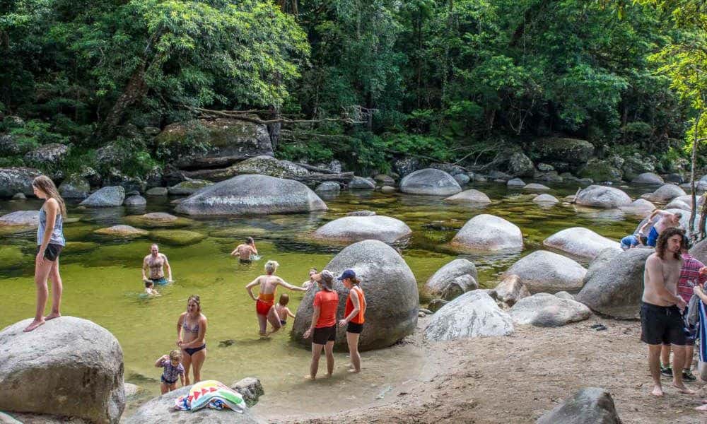 Cape Tribulation Budget Day Tour1