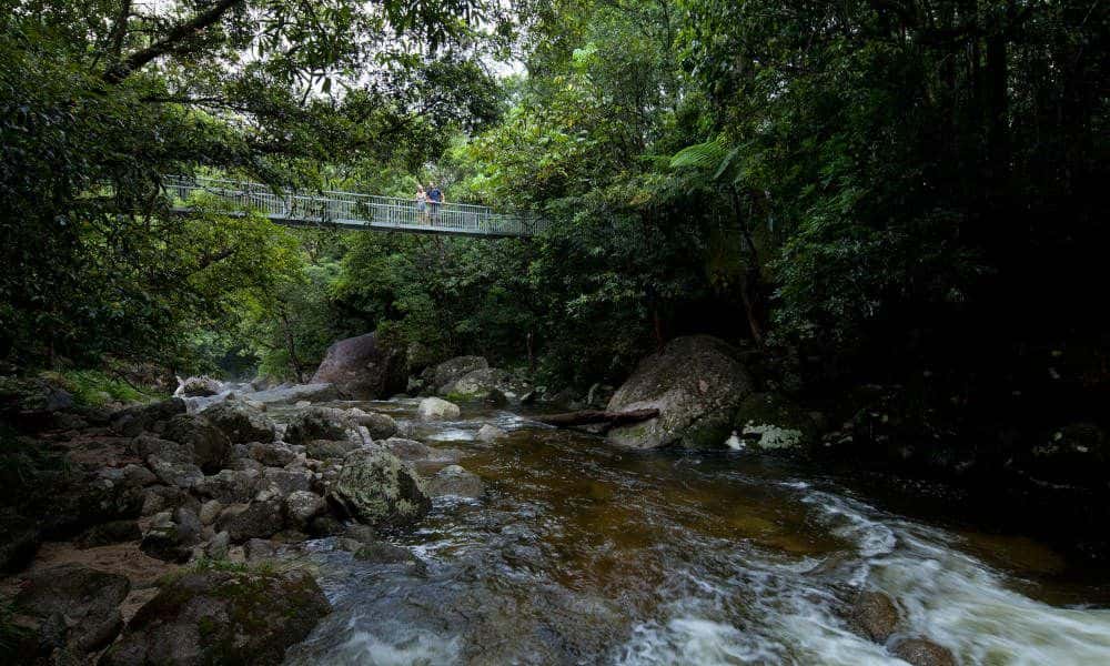Cape Tribulation Budget Day Tour2