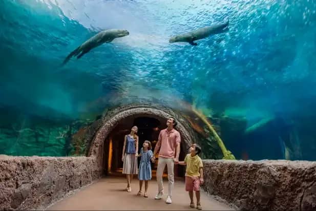 River Safari